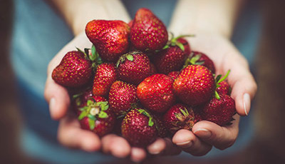 【莓好食光季】內湖東林草莓園 x Accupass 草莓變身計畫｜採草莓+手作天然草莓果醬